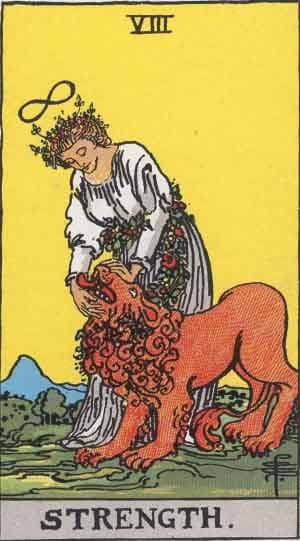 Strength tarot card